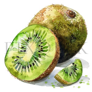 Watercolor Kiwi Clipart | 10 High Quality JPGs | Digital Download | Kiwi Art | Fruit Clipart | Scrapbooking | Kiwi Vector | Kiwi clip art