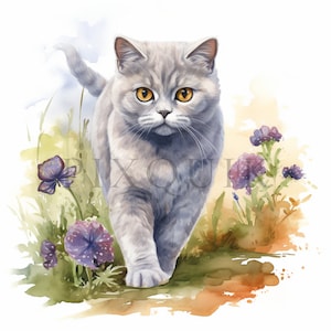Clipart British Shorthair à l'aquarelle | 10 fichiers JPG de haute qualité | Téléchargement numérique instantané | Chat britannique | Chat poil court | British shorthair