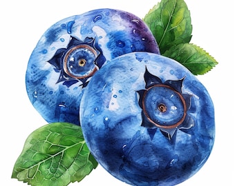 Watercolor Blueberries Clipart | 10 JPGs for Card Making (Digital Download)