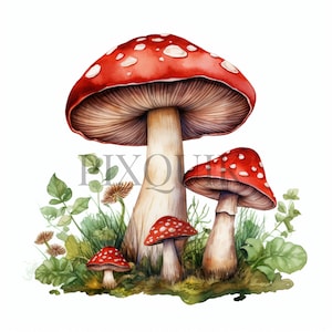 Watercolor Mushroom Clipart - 10 High Quality JPGs | Mushroom | Nature Illustration | Digital Paper Craft