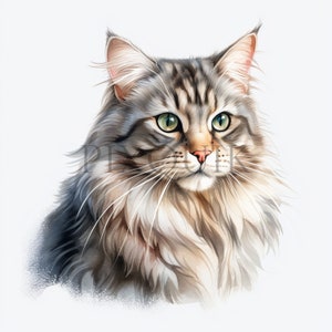 Clipart chat sibérien aquarelle |  10 fichiers JPG de haute qualité | Aquarelle | Clipart chat sibérien | Fabrication de cartes | Téléchargement numérique à usage commercial