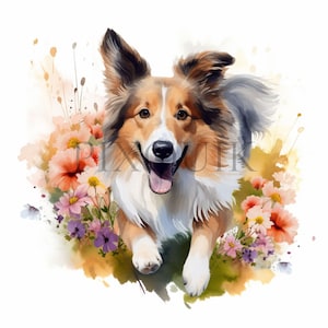 Imágenes prediseñadas de perro pastor de Shetland / 10 archivos JPG de alta calidad / Imágenes prediseñadas de collie / Arte de perro pastor / Gráficos de mascotas, Arte vectorial de mascotas, Imágenes prediseñadas caninas, Álbum de recortes