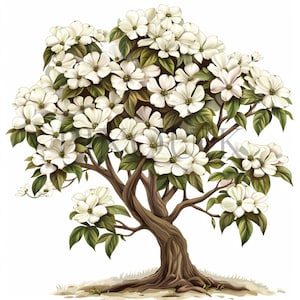 Clipart de árvore Dogwood aquarela | 10 JPGs de alta qualidade | clipart de natureza | Clipart de árvore | Impressões digitais, download instantâneo, uso comercial