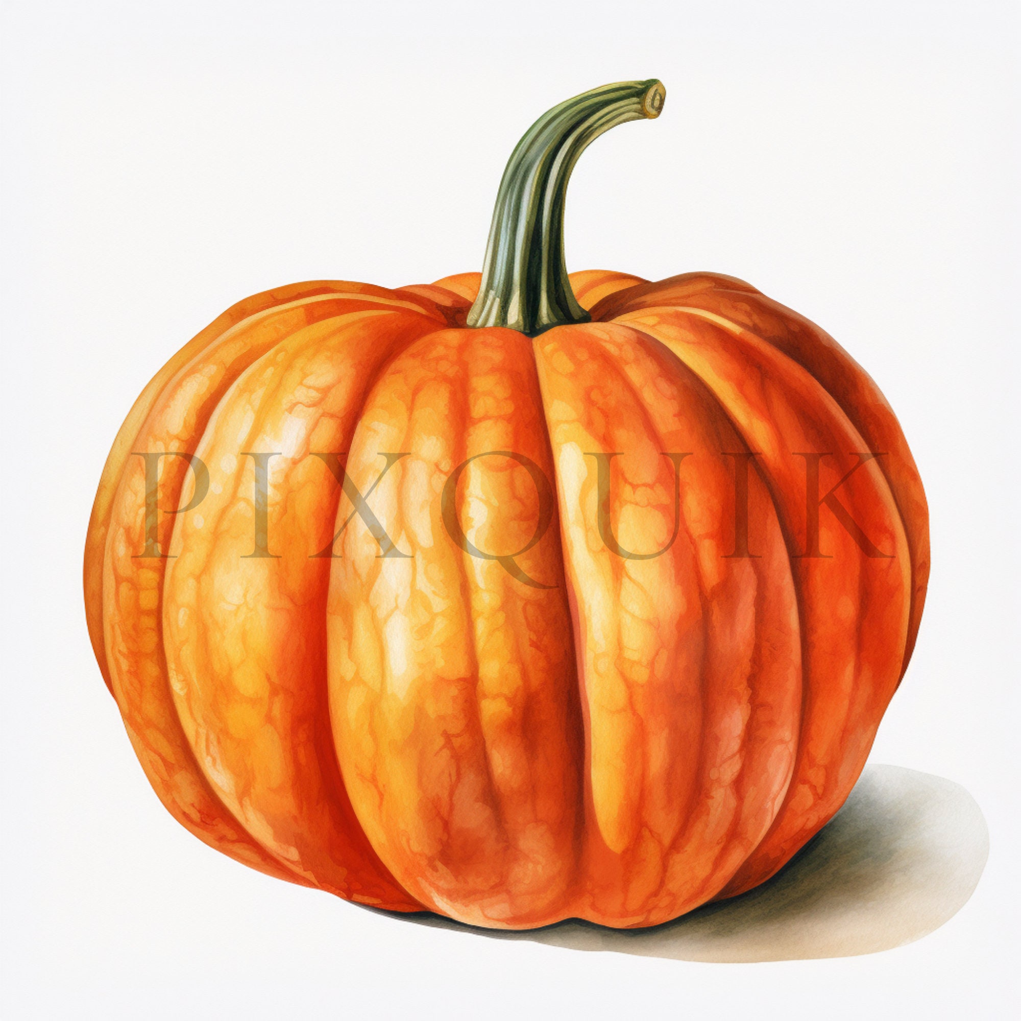 Watercolor Pumpkin Clipart | Fall Autumn Graphics (digital Download) - Etsy