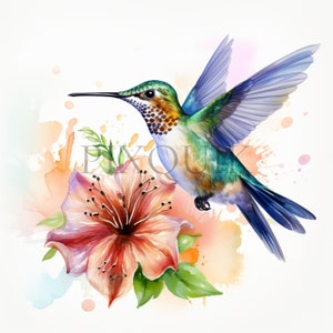 Watercolor Hummingbird Clipart Bundle | 10 High Quality JPGs|  Bird Clipart | Floral Hummingbird Clipart | Instant Digital Download |