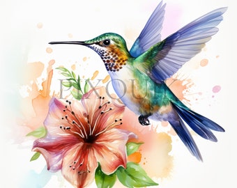 Watercolor Hummingbird Clipart Set: Floral Bird Designs (Digital Download)