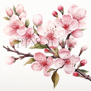 Clipart de rama de sakura en flor / 10 archivos JPG de alta calidad / Ilustraciones de flores de cerezo / Arte floral / Álbum de recortes, imprimible, uso comercial