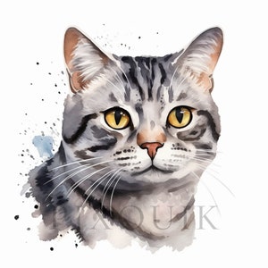 American Shorthair Clipart | 10 High Quality JPGs | Instant Digital Download | American shorthair cat clipart | American shorthair | kitten