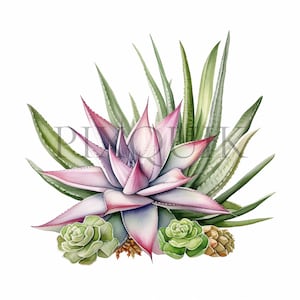Clipart di piante / 10 JPG di alta qualità / Elementi botanici / Clipart di piante / Arte della natura / Album di ritagli, stampabile, uso commerciale