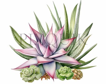 May include: A watercolor painting of a pink and green succulent plant arrangement. The arrangement features a large, pink-hued succulent with long, pointed leaves, surrounded by smaller, green succulents. The succulents are arranged in a cluster, with some of the leaves overlapping.