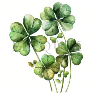 Clipart trèfle | 10 fichiers JPG de haute qualité | Téléchargement numérique | Clipart trèfle | Clipart de la Saint-Patrick | trèfle à quatre feuilles | Trèfle