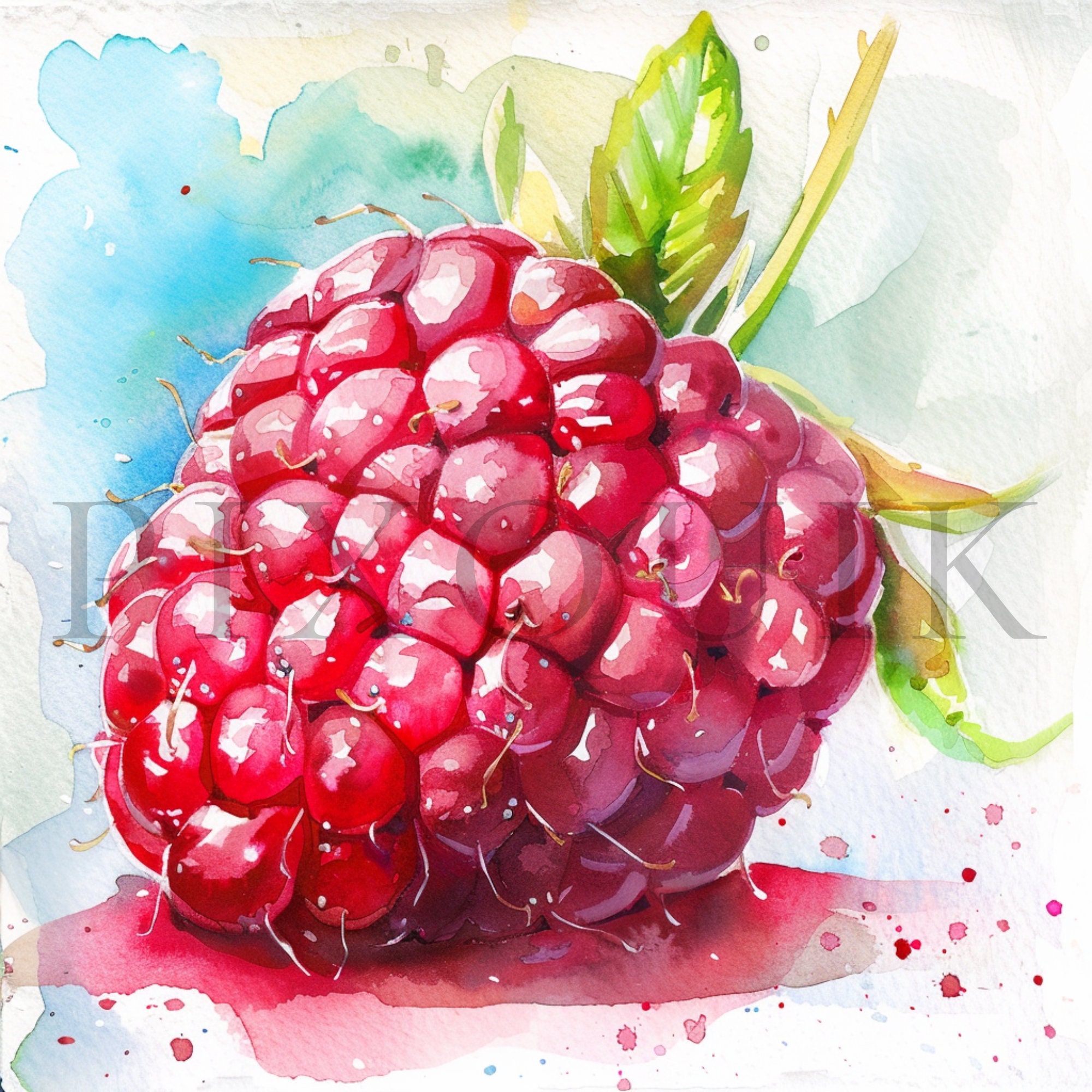 Watercolor Raspberry Clipart | High-resolution Fruit Art (digital ...