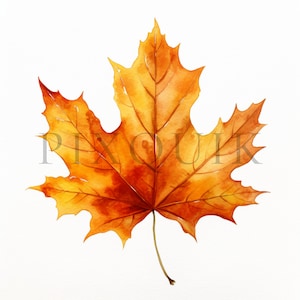 Herbst Blatt Clipart | 10 hochwertige JPGs | Sofortiger digitaler Download | Kartengestaltung | Herbst Clipart | Digitales Papiermodell | fallen | Ahornblatt
