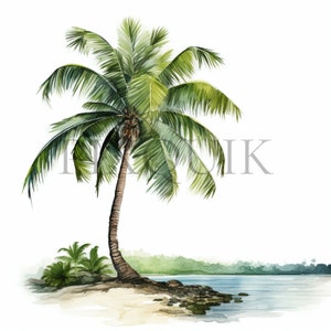 Clipart de árbol de coco con cocos / 10 archivos JPG de alta calidad / Arte de frutas tropicales / Ambiente isleño / Álbum de recortes, imprimible, uso comercial