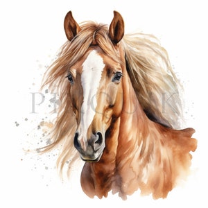 Pferd Clipart - 10 hochwertige JPGs | Aquarell Clipart | Pferdekopf Clipart | Aquarell Pferd | Digitaler Download | Pferd Illustration