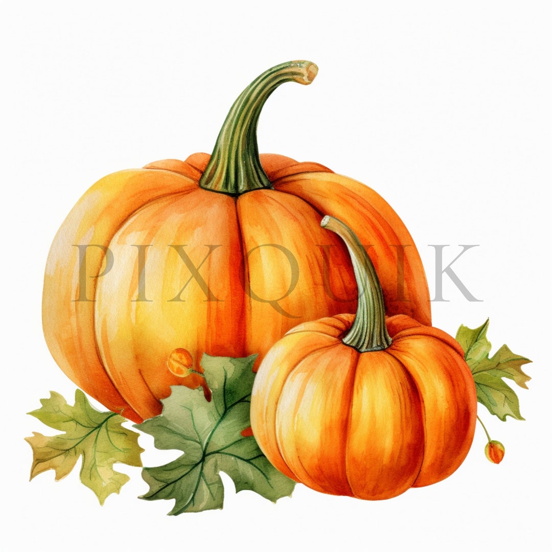 Autumn Pumpkin Watercolor Clipart | Fall Harvest Jpgs (digital Download ...