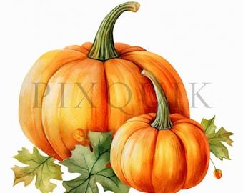 Clipart acquerello di zucca autunnale / JPG del raccolto autunnale (download digitale)