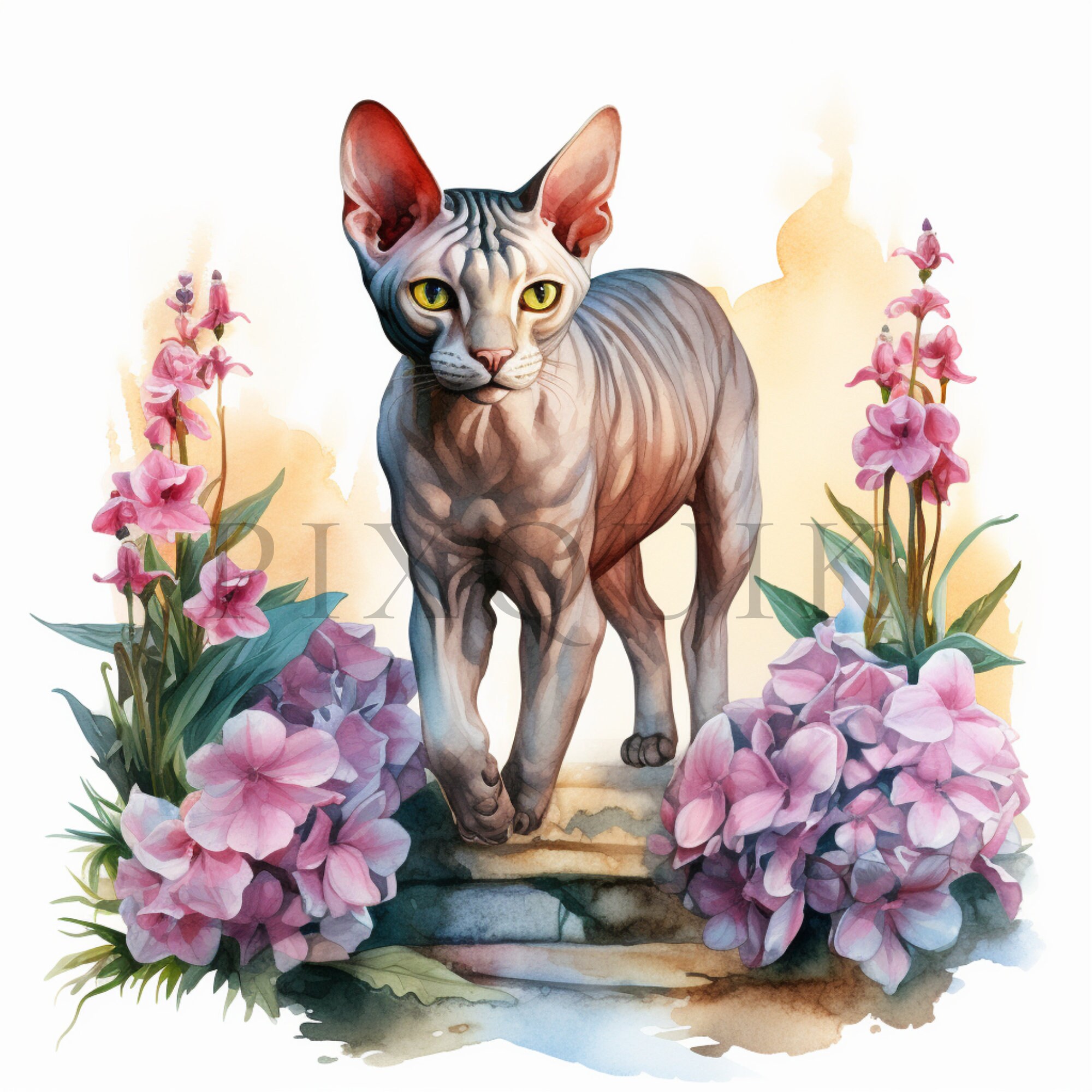 Sphynx Cat Floral Illustration | High-quality Jpgs (digital Download ...