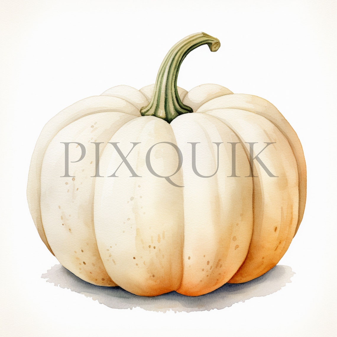 White Pumpkin Watercolor Clipart | Fall Nursery Decor (digital Download ...