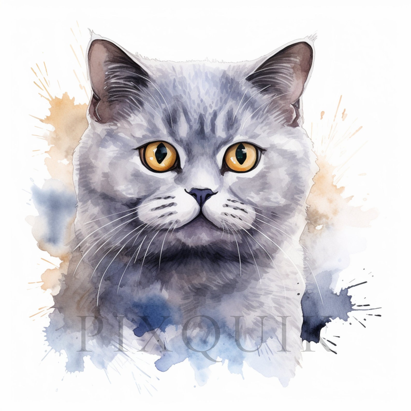 Watercolor British Shorthair Clipart | Cat Illustration (digital ...