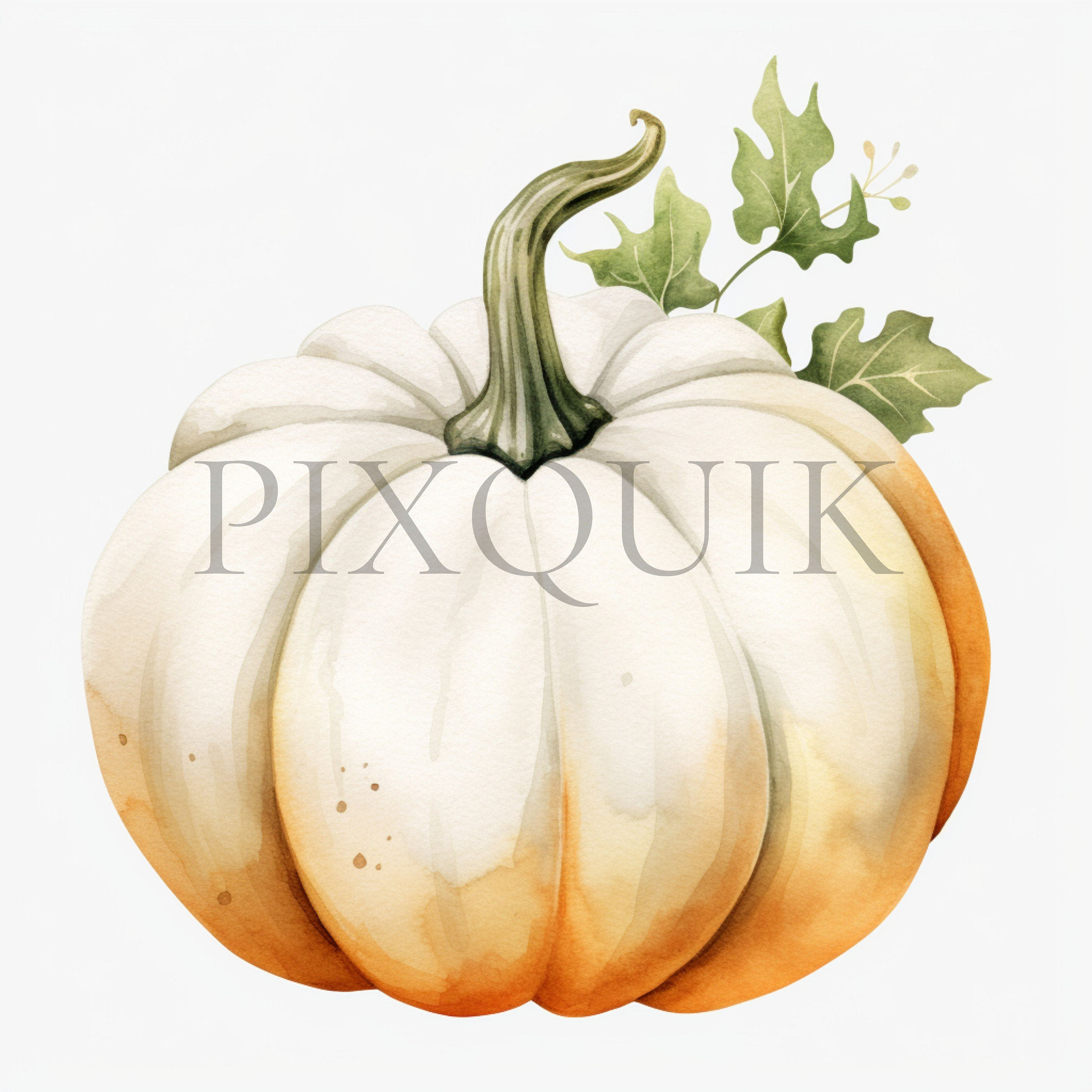White Pumpkin Watercolor Clipart | Fall Nursery Decor (digital Download ...