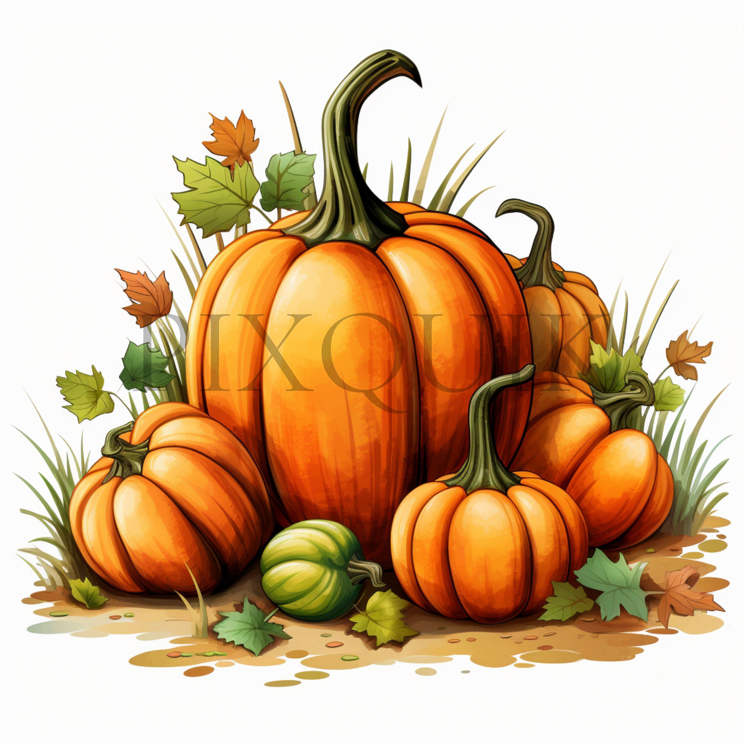 Pumpkin Patch Clipart Autumn Pumpkin Patch 10 High Quality JPG Pumpkin ...