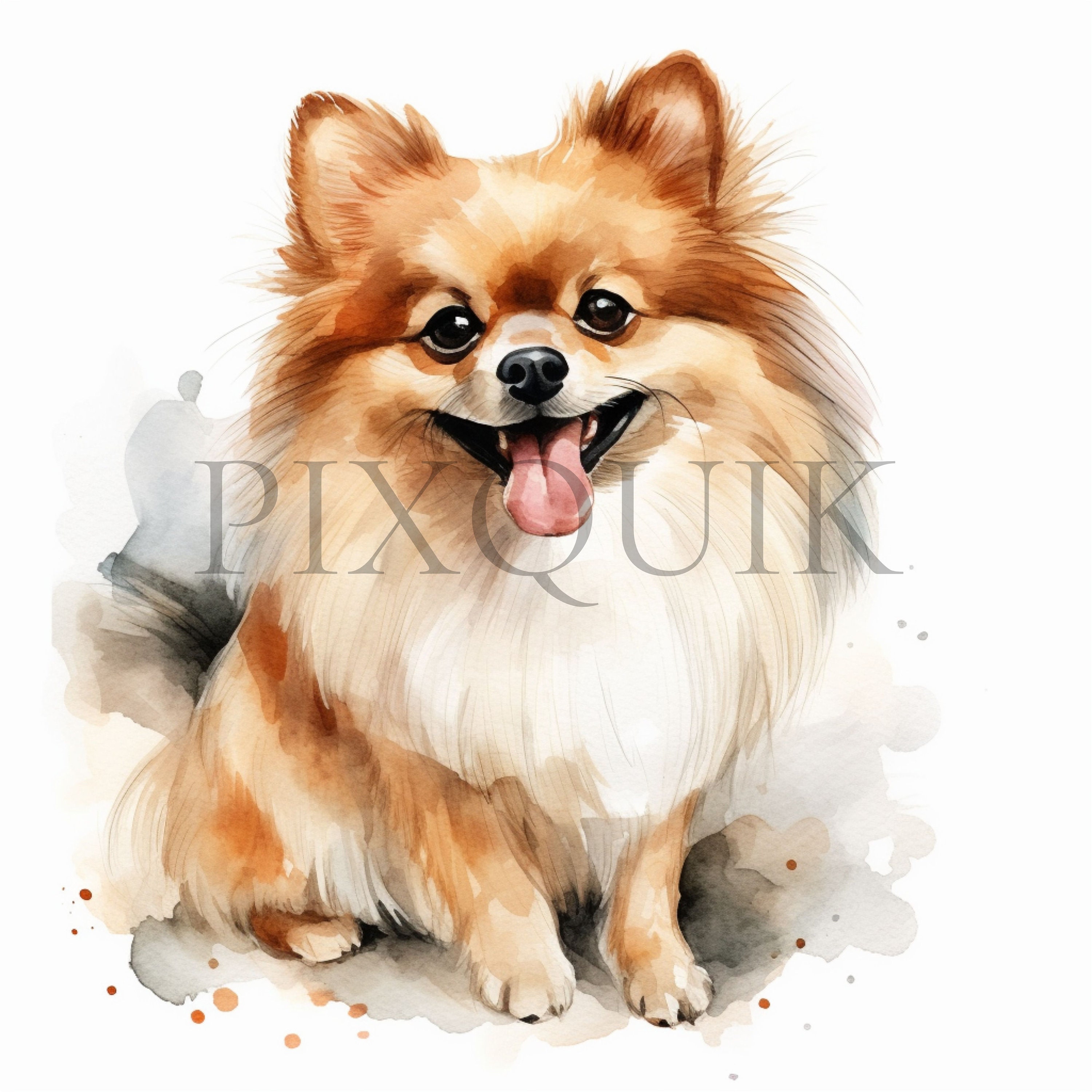 ポメラニアンの水彩画クリップアート集：犬好きアート（JPG） - Etsy 日本