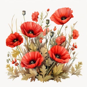 de fleurs de coquelicots | 10 fichiers JPG de haute qualité | Téléchargement numérique | Art floral | Fleur rouge | Graphismes floraux