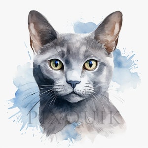 Clipart chat bleu russe aquarelle | 10 fichiers JPG de haute qualité | Téléchargement numérique instantané | Lot de cliparts chat | Bleu russe | Art imprimable
