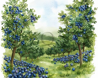 Watercolor Blueberries Clipart: 10 JPGs, Commercial Use (Digital Download)