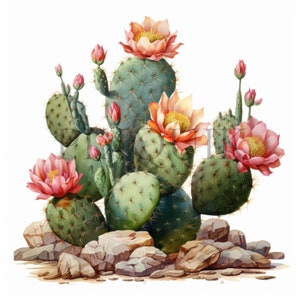Clipart di cactus in fiore vintage / 10 JPG di alta qualità / Illustrazioni di cactus retrò / Arte del deserto / Album di ritagli, stampabile, uso commerciale