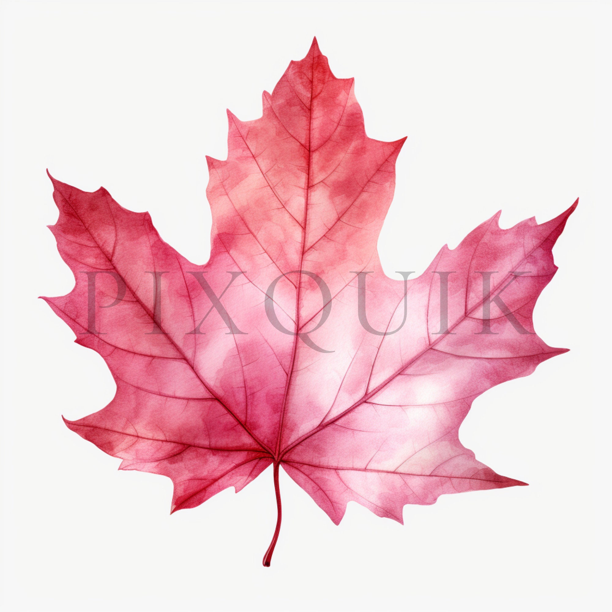 Pink Watercolor Fall Leaves Clipart | Autumn Jpgs (digital Download) - Etsy