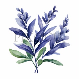 Clipart di piante di indaco / 10 JPG di alta qualità / Arte botanica / Elementi vegetali / Clipart di piante / Album di ritagli, stampabile, uso commerciale
