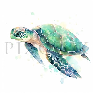 Schildkröte Clipart - 10 hochwertige JPGs | Schildkröte Aquarell | kommerzielle Nutzung | Meeresschildkröte | Digitaler Download | süße Schildkröte | Collage Bilder