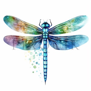 Watercolor Dragonfly Clipart | Nursery Art, Scrapbook Images (digital