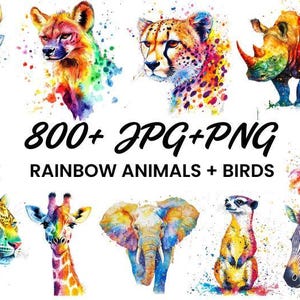 May include: A collection of 800+ JPG and PNG images featuring rainbow-colored animals and birds. The images are perfect for crafting, scrapbooking, and other creative projects.