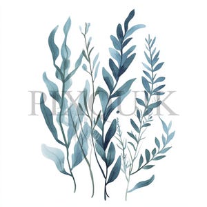 Clipart de algas marinas / 10 archivos JPG y PNG / Creación de tarjetas / Manualidades digitales con papel / Arte de acuarela / Ilustración de plantas oceánicas, diseño de vida marina