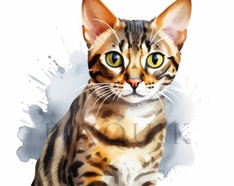 ベンガル猫のクリップアート13点、かわいい動物のクリップアート