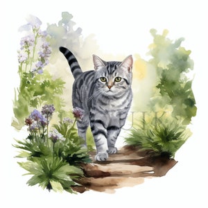 Clipart acquerello American Shorthair / 10 JPG di alta qualità / Download digitale / Diari spazzatura / Artigianato di carta / Tecnica mista / Arte stampabile