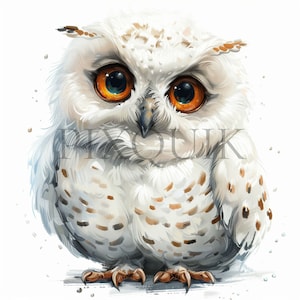 Clipart aquarelle de hibou des neiges | 10 fichiers JPG de haute qualité | Clipart hibou | clipart hibou mignon | des cliparts harfang des neiges | Carnet de bord, scrapbooking