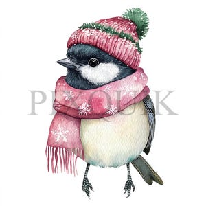 Clipart mésange avec chapeau de Noël | 10 fichiers JPG et PNG | Fabrication de cartes | Artisanat numérique en papier | Aquarelle | Mésange mignonne