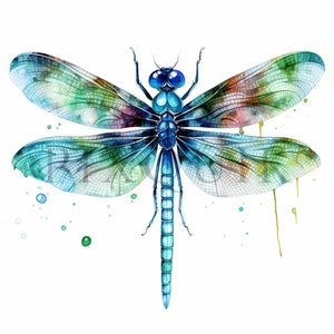 Clipart libellula / 10 JPG di alta qualità / Download digitale / Arte per bambini / Immagini di album / Libellule / Clipart libellula acquerello