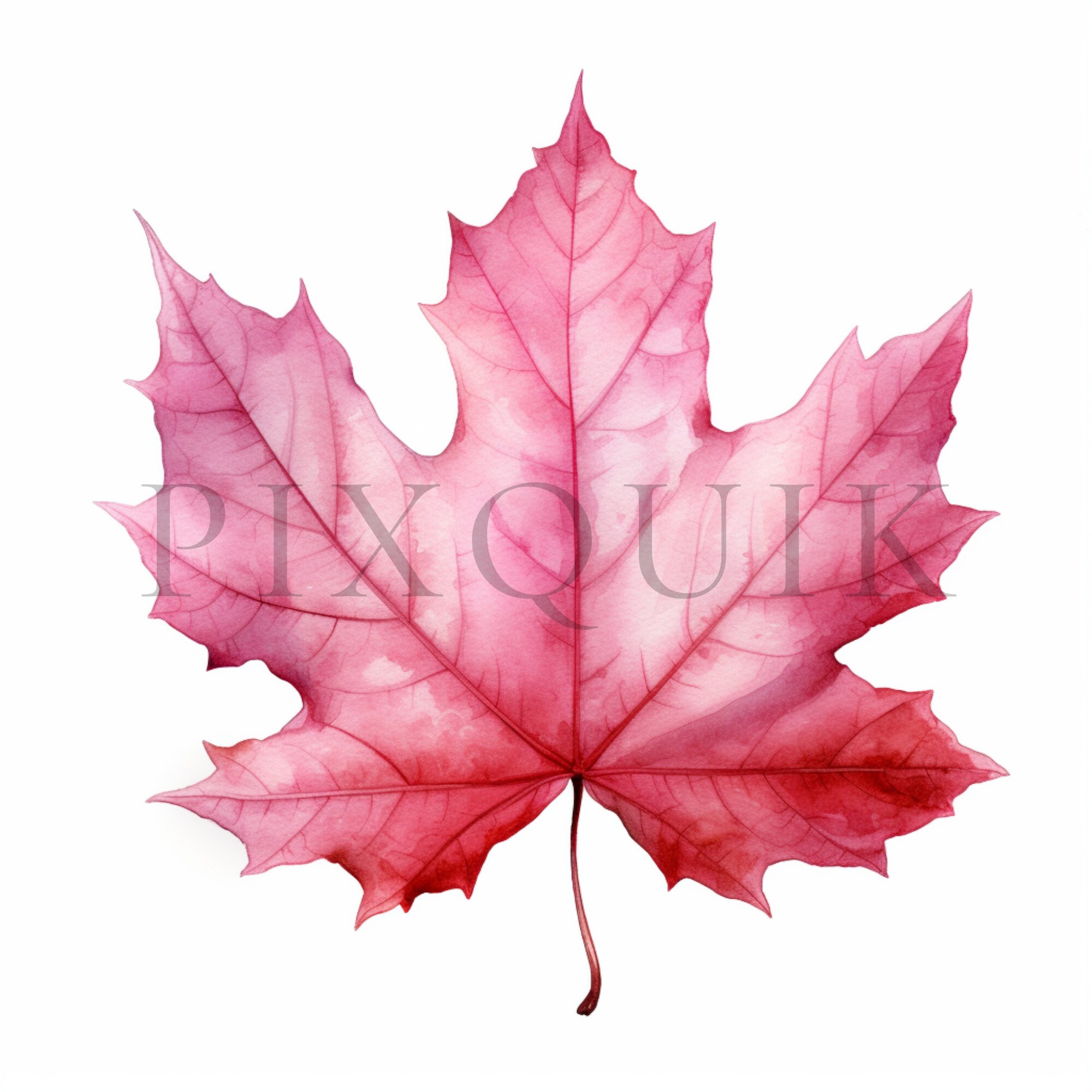 Pink Watercolor Fall Leaves Clipart | Autumn Jpgs (digital Download) - Etsy