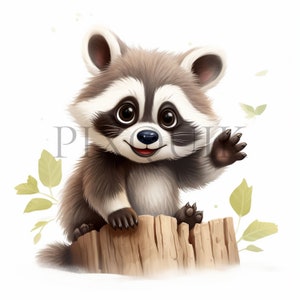 Clipart raton laveur | Clipart animaux des bois | 10 fichiers JPG de haute qualité | Clipart raton laveur mignon | Clipart animaux de la forêt | Téléchargement numérique, fabrication de cartes