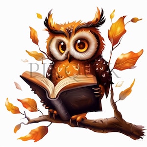 Carino gufo bambino che legge un libro clipart / 10 JPG di alta qualità / Carino gufo clipart / Gufo che legge clipart / Design a sublimazione, download digitale