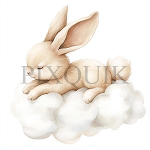Coniglietto addormentato con nuvola Clipart / 10 file JPG e PNG / Creazione di biglietti / Artigianato di carta digitale / Arte ad acquerello / Stile boho, coniglio marrone