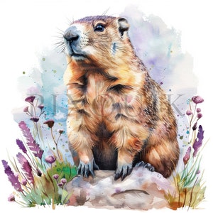 Clipart marmotta / 10 JPG di alta qualità / Download digitale istantaneo / Giorno della marmotta / Clipart fauna selvatica / Creazione di biglietti / Artigianato di carta digitale