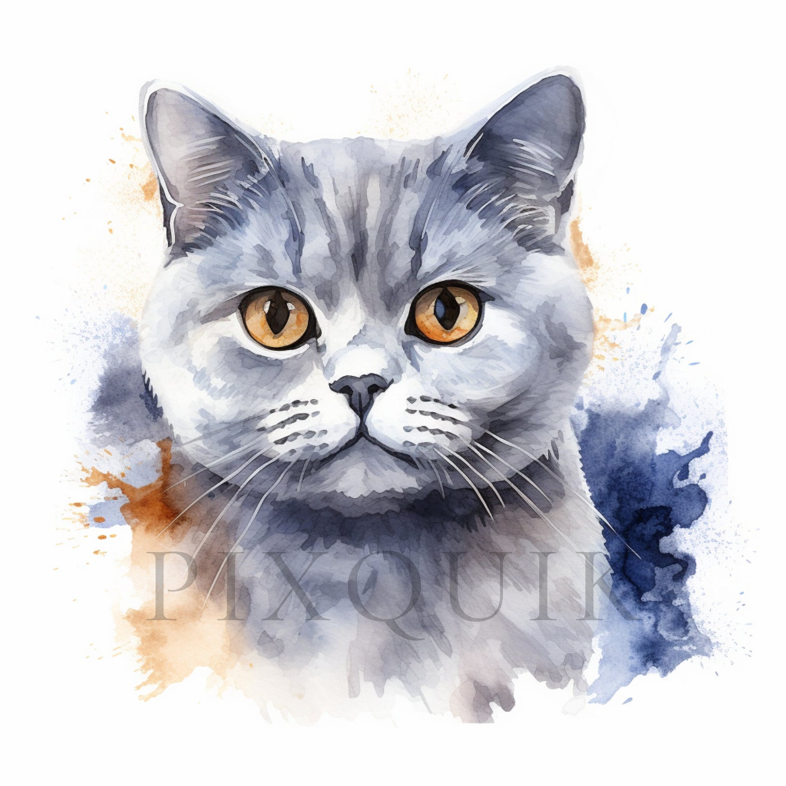 Watercolor British Shorthair Clipart | Cat Illustration (digital ...