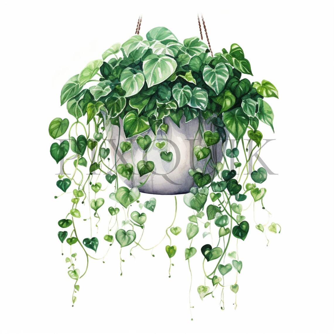 Hanging Potted Plant Clipart | Watercolor Botanical Illustration (JPG ...