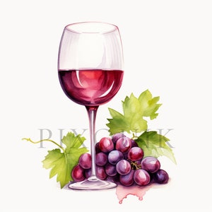 Watercolor Wine Glass Clipart | 10 High Quality JPGs | Digital Download | Wine Glass Art | Wine Glass Vector | Drink Clipart | wine cut file